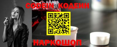 индика Обь