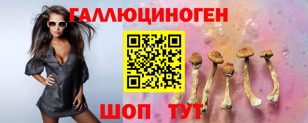 Псилоцибиновые грибы Psilocybe  что такое наркотик  Северобайкальск  Вход с VPN 